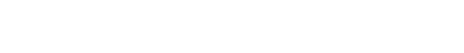 NIIGATA光のページェント